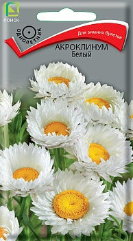Акроклинум белый