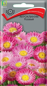 Акроклинум розовый