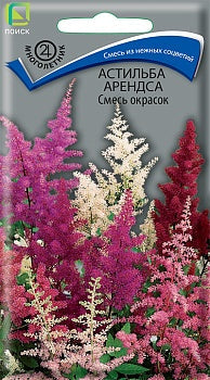 Астильба Арендса смесь окрасок