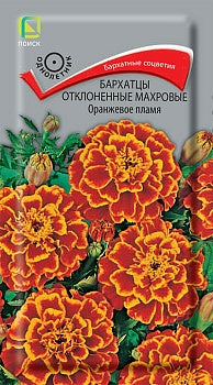 Бархатцы отклоненные махровые Оранжевое пламя