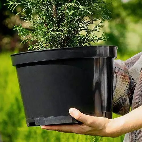 Горшок | Технический