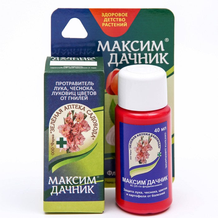 Максим дачник