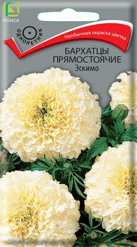 Бархатцы прямостоячие Эскимо