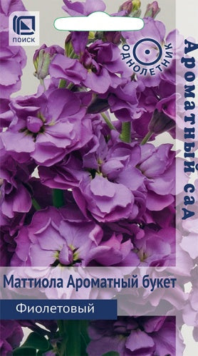 Маттиола Ароматный букет Фиолетовый