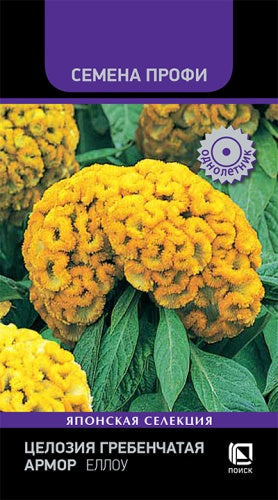 Целозия гребенчатая Армор Еллоу