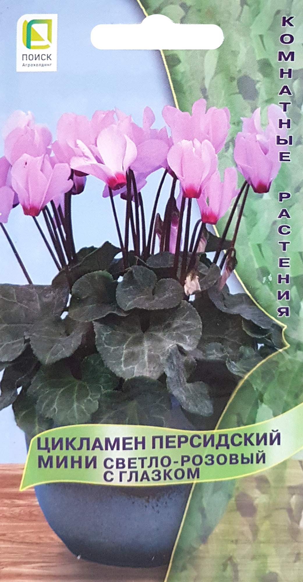 Цикламен персидский мини светло-розовый с глазком