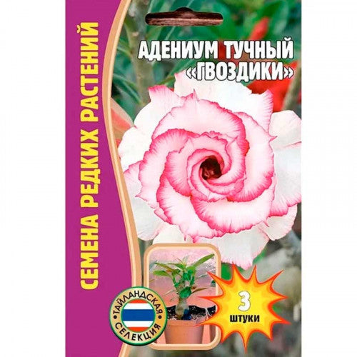 Адениум тучный гвоздики