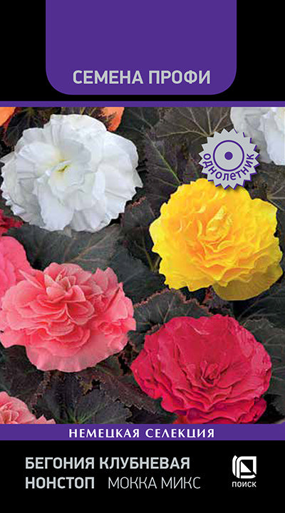 Бегония клубневая нонстоп мокка микс