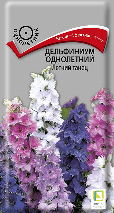 Дельфиниум однолетний летний танец