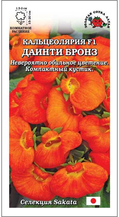 Кальцеолярия F1 даинти бронз