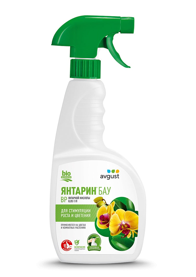 Янтарин БАУ