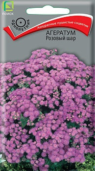 Агератум розовый шар