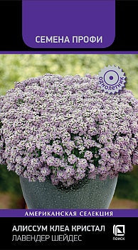 Алиссум Клеа Кристал Лавендер Шейдес