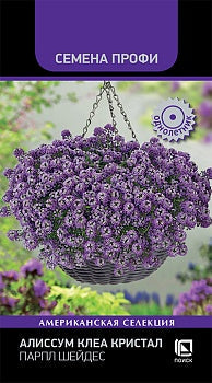 Алиссум Клеа Кристал Парпл Шейдес