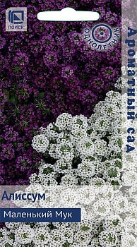 Алиссум Маленький мук