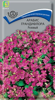 Арабис грандифлора Розовый