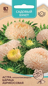 Астра хризантемовидная Царица Абрикосовая