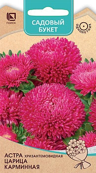 Астра хризантемовидная Царица Карминная