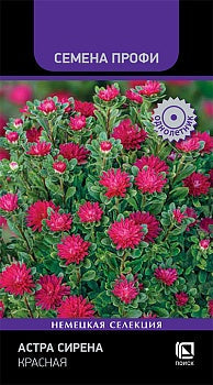 Астра Сирена Нежно-красная