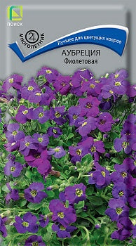 Аубреция Фиолетовая