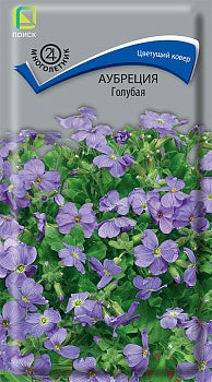 Аубреция Голубая