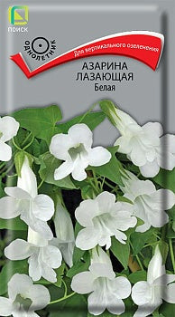 Азарина лазающая белая