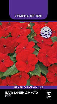 Бальзамин Джусто Ред