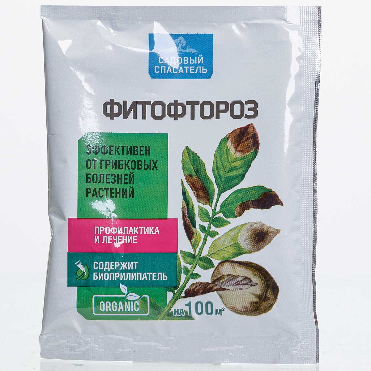 Фитофтороз