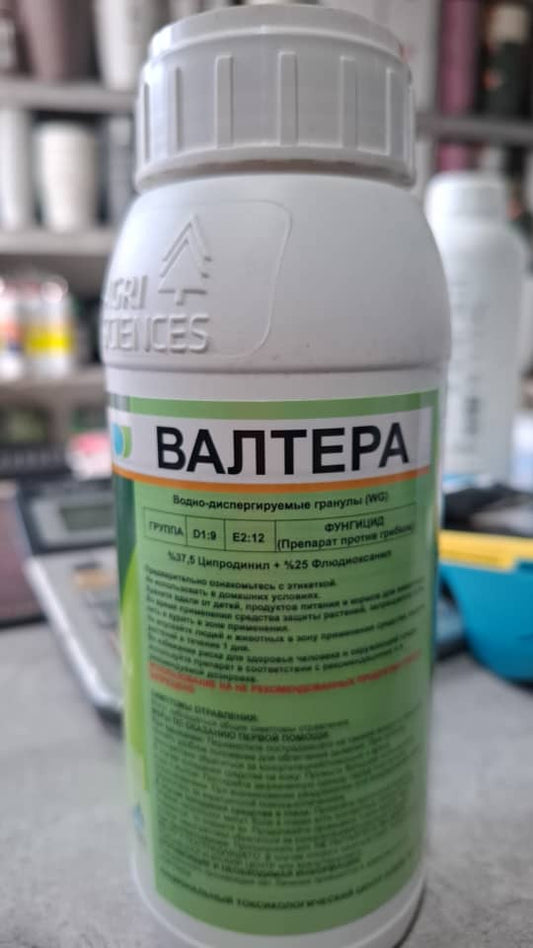 Валтера