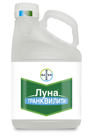 Луна Транквилити
