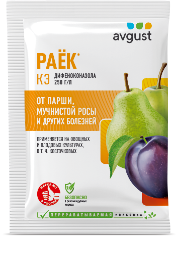Раек