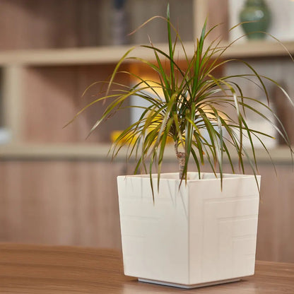 Горшок с вкладкой | Квадро