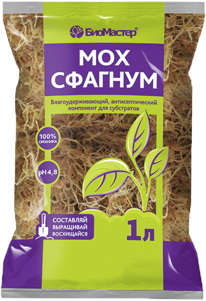 Мох сфагнум