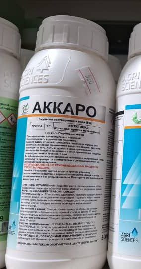 Аккаро