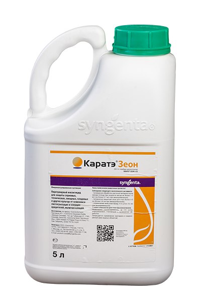 КАРАТЭ Зеон, МКС