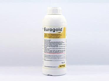 Евроголд