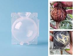 Шар для укоренения 5см прозрачный