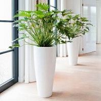 Горшок Ташкент | Конус