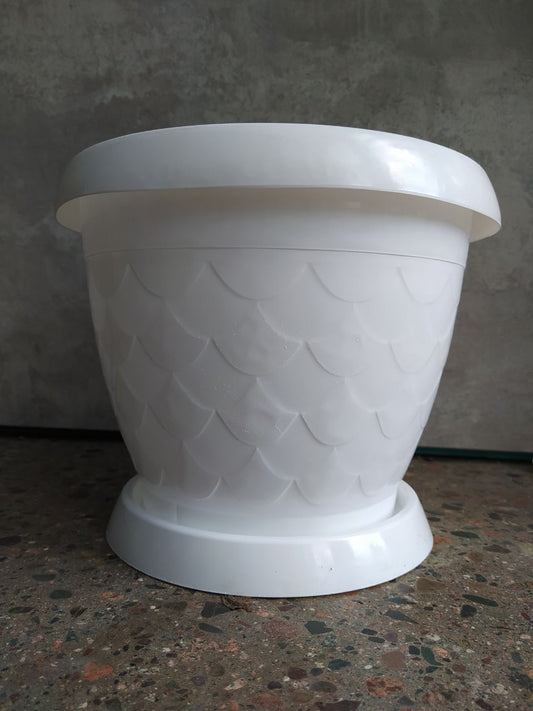 Горшок | Сазан