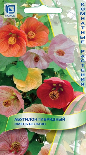 Абутилон гибридный Смесь Бельвю