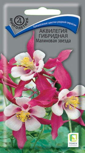 Аквилегия гибридная Малиновая Звезда