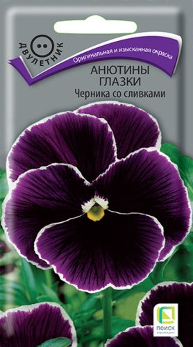 Анютины глазки Черника со сливками