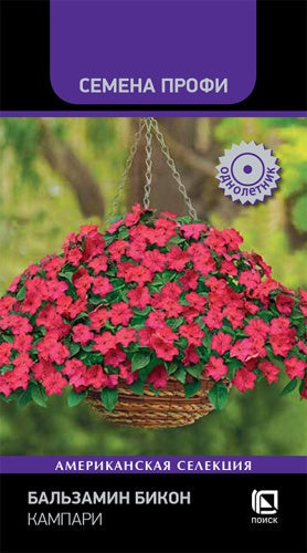 Бальзамин Бикон Кампари