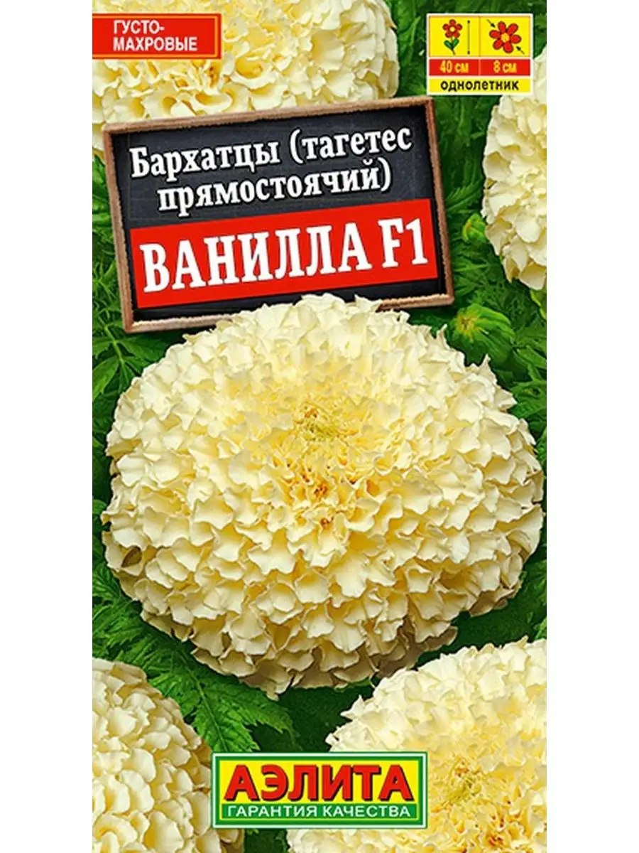 Бархатцы тагетес прямостоячие Ванилла F1