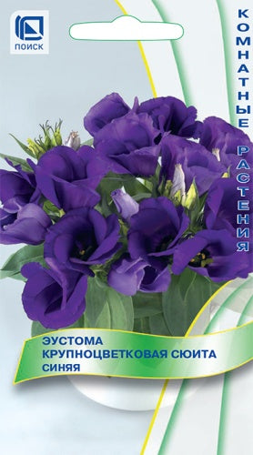 Эустома крупноцветковая Сюита Синяя