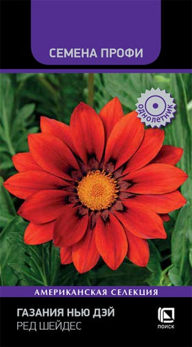 Газания Нью дэй Ред шейдес