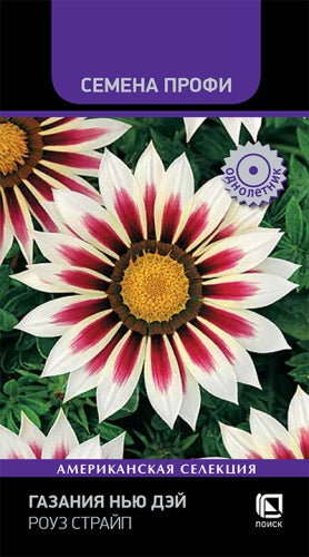 Газания Нью дэй Роуз страйп