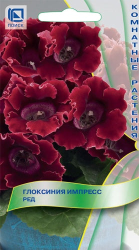 Глоксиния Импресс Ред