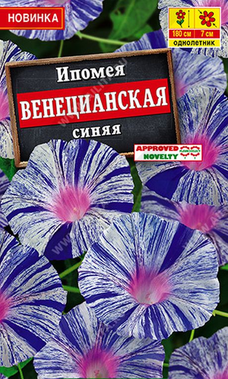 Ипомея Венецианская синяя