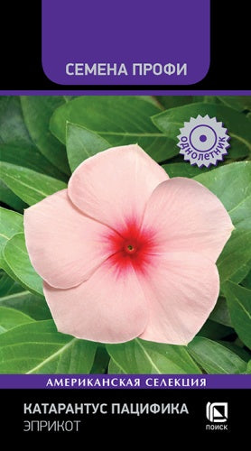 Катарантус пацифика эприкот